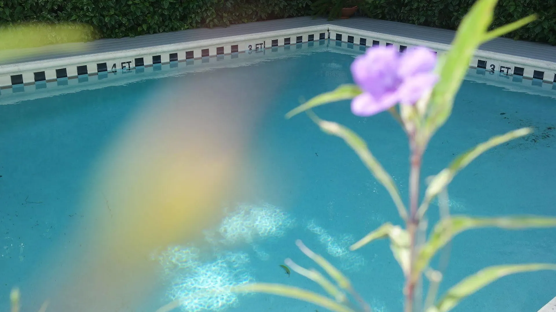 Hotel Heron House Court (Adults Only) Key West